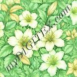 Colour:K