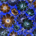 Colour:F