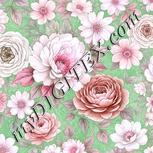 Colour:B