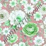 Colour:C