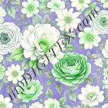 Colour:D