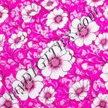 Colour:B