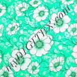 Colour:C