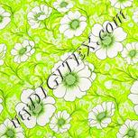 Colour:D