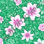Colour:B