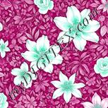 Colour:C