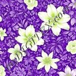 Colour:D