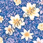 Colour:J