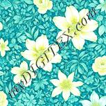 Colour:K