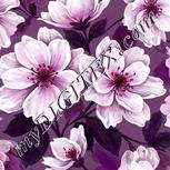 Colour:B
