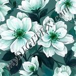 Colour:C