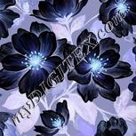 Colour:F