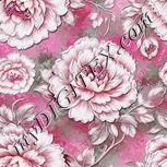 Colour:B