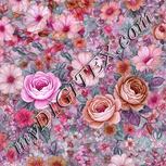 Colour:B