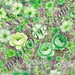 Colour:D