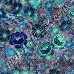 Colour:F