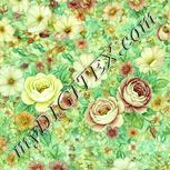Colour:K