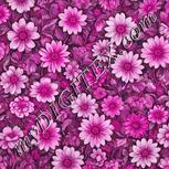 Colour:B