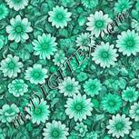Colour:C