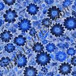 Colour:F