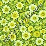 Colour:K