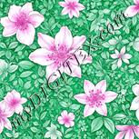 Colour:B