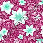 Colour:C