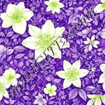 Colour:D