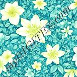 Colour:K