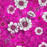 Colour:B
