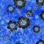 Colour:F