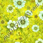 Colour:K