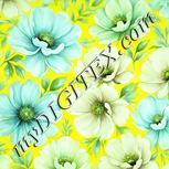 Colour:K