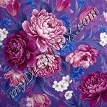 Colour:A