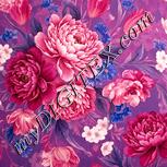 Colour:J
