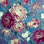 Colour:K