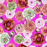 Colour:B