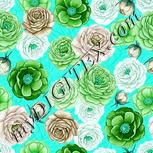 Colour:C