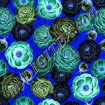 Colour:F