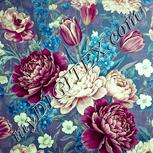 Colour:K