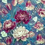 Colour:K