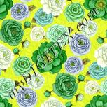 Colour:D