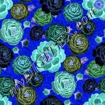Colour:F