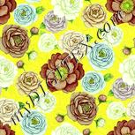 Colour:K