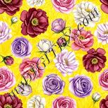 Colour:A