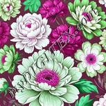 Colour:B