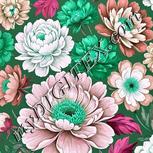 Colour:C