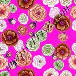 Colour:B