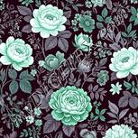 Colour:C