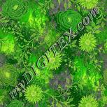 Colour:D